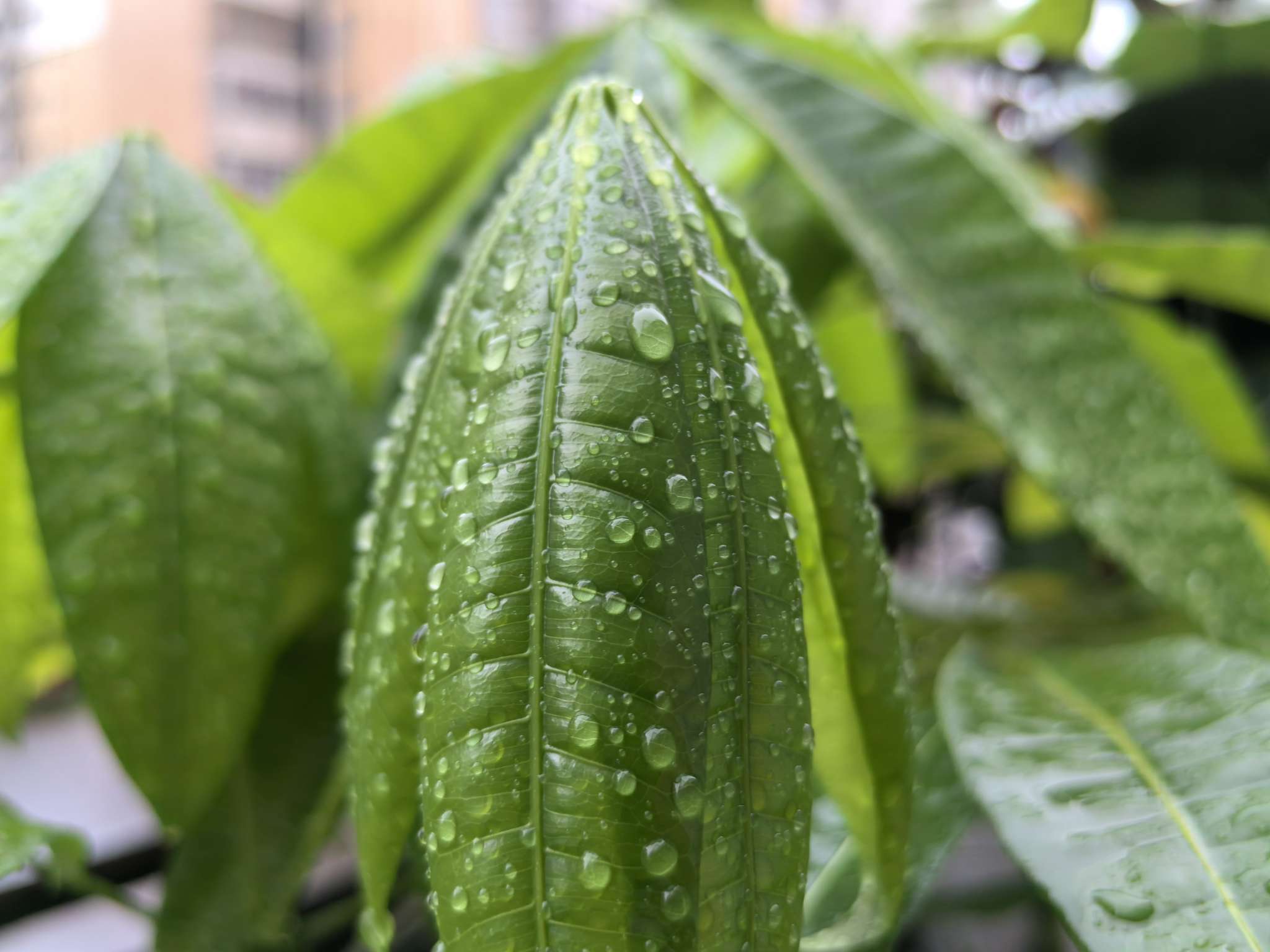 新风系统，设计师必须知道这6大重点！